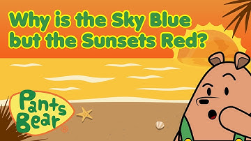 Why the Sky is Blue? | Fun Science For Kids | #PantsBear