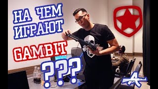 Девайсы И Фишки Gambit Esports От Adren