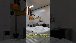 How to depalletize bags without manual labor–real factory robot #unpacking  #robots #manufacturer