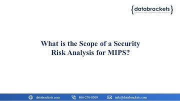What is the Scope of a Security Risk Analysis for MIPS?