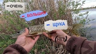 ОГРОМНЫЕ(нет)ЩУКИ полюбили этот ВОБЛЕР. Погонял Мелких Щучек. Рыбалка в Тольятти.