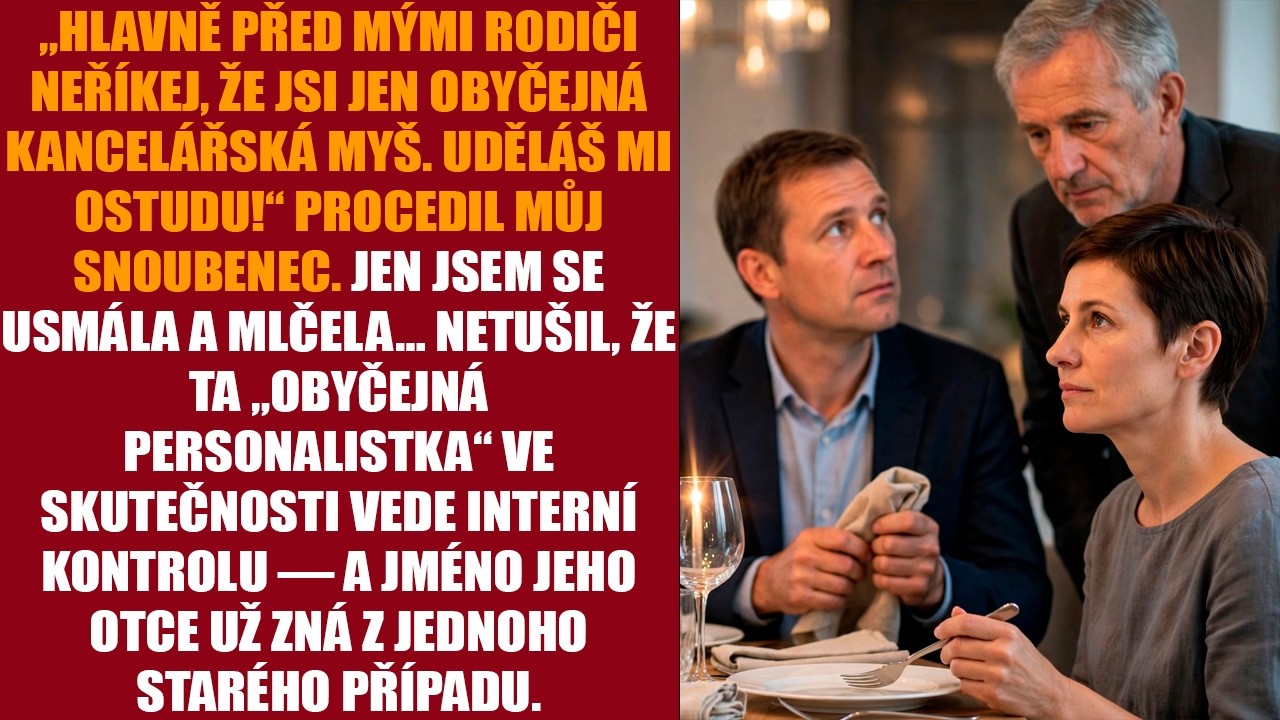 Seděla jsem u slavnostního stolu vedle muže, jehož jméno jsem znala z utajovaného spisu. František Hampel, otec mého snoubence, bývalý generálmajor. O pár hodin dřív mi Petr v autě řekl: „Hlavně...