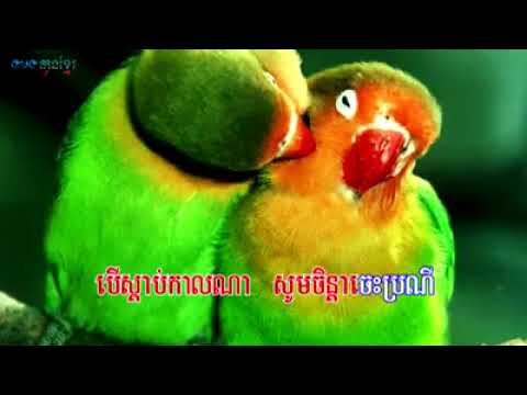 ភក្រ្តាស្រទន់   Sarim