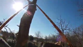 dangerously dead oak top