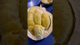 Durian Musang King dan D 24 Bukit Bintang Kuala Lumpur Malaysia Concordia Healthy