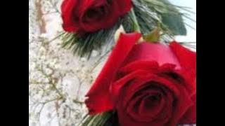 ഈ മരുയാതയിൽ നിന്നെ തനിയെ വിടുക ഇല്ല.