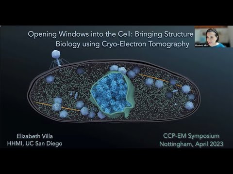 Bringing Structure to Biology using Cryo-Electron Tomography - Elizabeth Villa (UCSD)