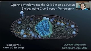 Bringing Structure to Biology using Cryo-Electron Tomography - Elizabeth Villa (UCSD)