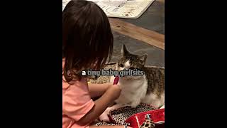 Baby Makeup Artist & Her First Customer A Cat