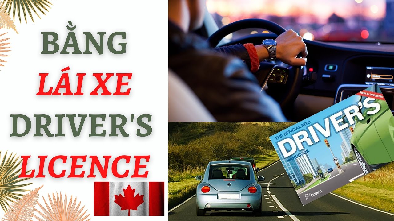Driver'S Licence-Quy Trình Lấy Bằng Lái Xe Ở Canada-Nên Lấy Bằng Ở Vn Trước Khi Sang Canada Không?