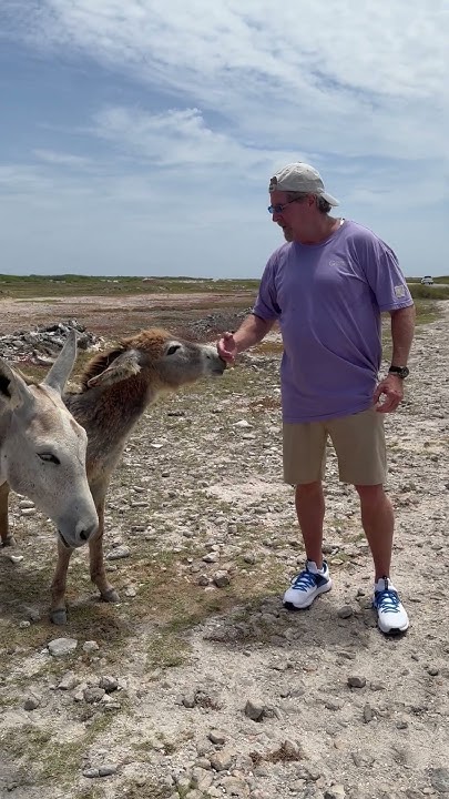 princess-cruise-excursion-in-bonaire-youtube