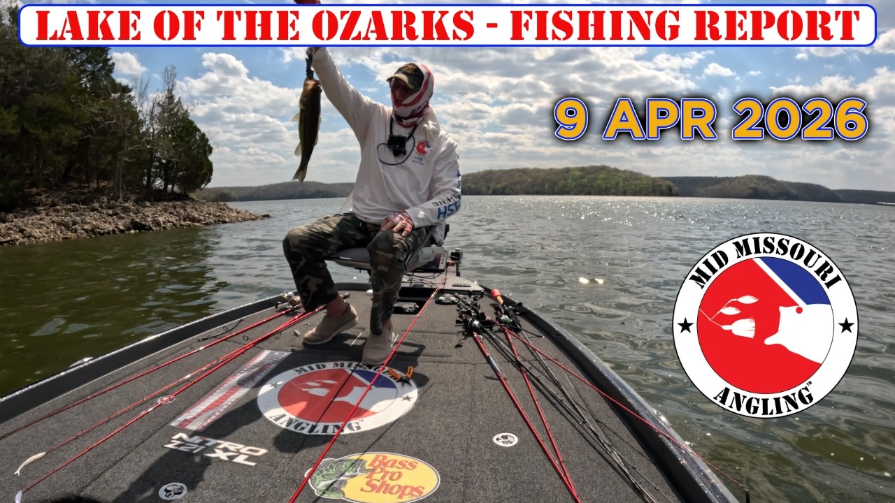 Lake of the Ozarks Bass Fishing – 9 Apr 2026 | Fishing report