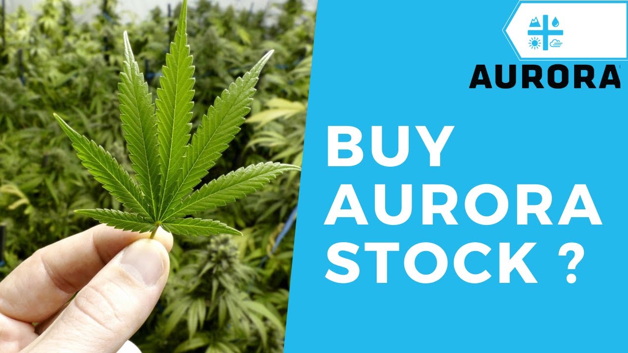 Should you buy Aurora stock now ? Aurora stock ( ACB ) analysis 2020