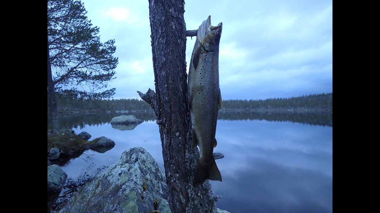 Eventyrlige Femundsmarka -  Del 1 av 2