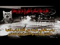 قصص رعب حقيقية عفاريت عقار اسكندرية تظهر فى عز الضهر صاحبة عزمة على أرنب لكنه كان قربان للسحر