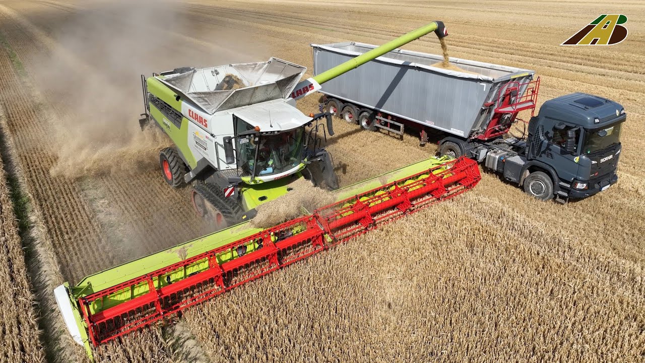 Getreideernte - Mähdrescher CLAAS LEXION 8600, Scania & Mercedes LKW Lohnunternehmen Landwirtschaft
