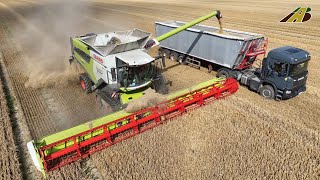 Getreideernte - Mähdrescher Claas Lexion 8600, Scania & Mercedes Lkw Lohnunternehmen Landwirtschaft