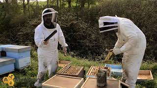 Information MyApiary Manager Update