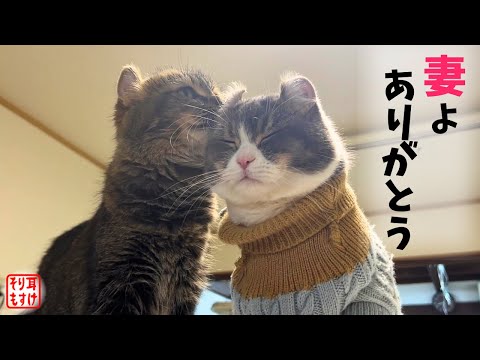 療養中ずっと離れない妻に感謝を伝えたら最高の幸せ顔してくれた💕