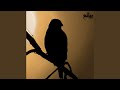 إهداء إهداء