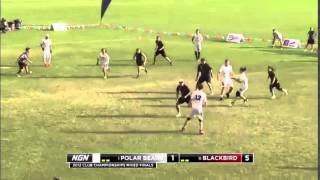 Endzone Iso Covering The Lanes