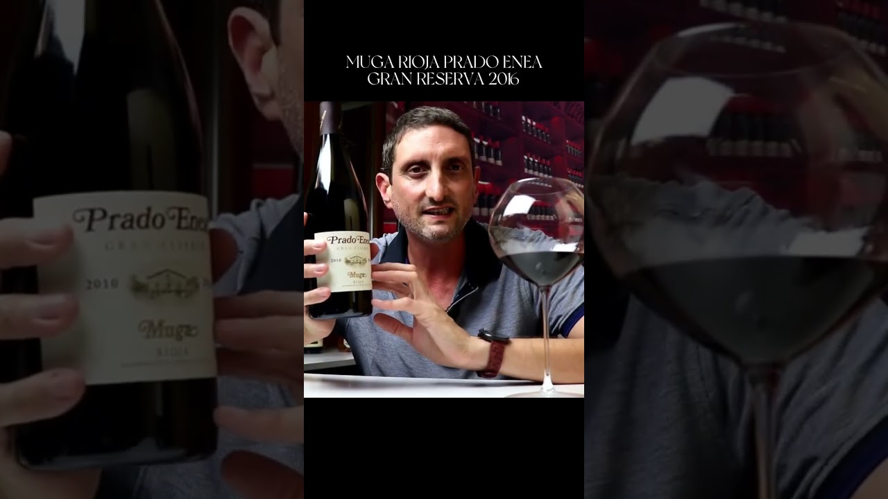 BEST WINES FROM SPAIN 