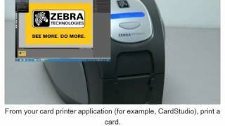 ZXP Series 3 Manual Card Feed 1