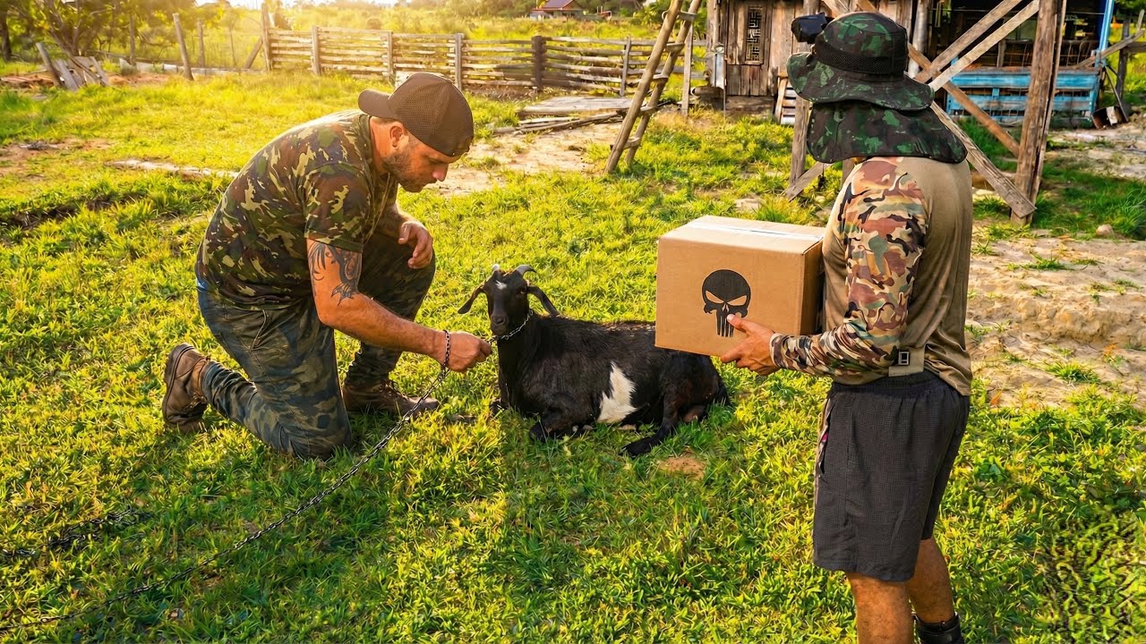 RESGATAMOS UMA CABRA QUASE SEM VIDA