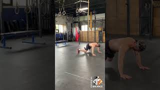 Quadruped Side Walk