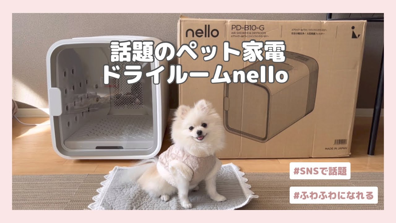 nelloペットドライルーム】話題のペット家電はやっぱり凄かった