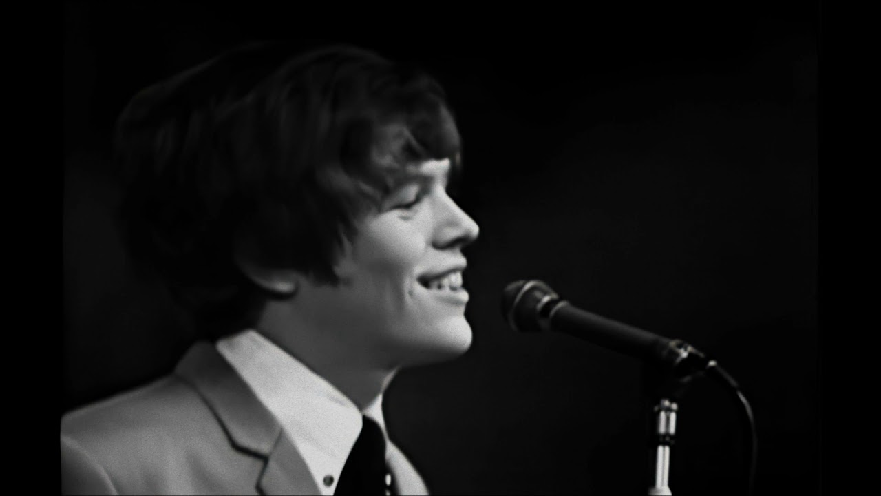 NEW * Wonderful World - Herman's Hermits {Stereo} 1965