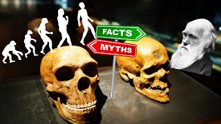 Revealing the Truth: Debunking Myths & Misconceptions About Human Evolution