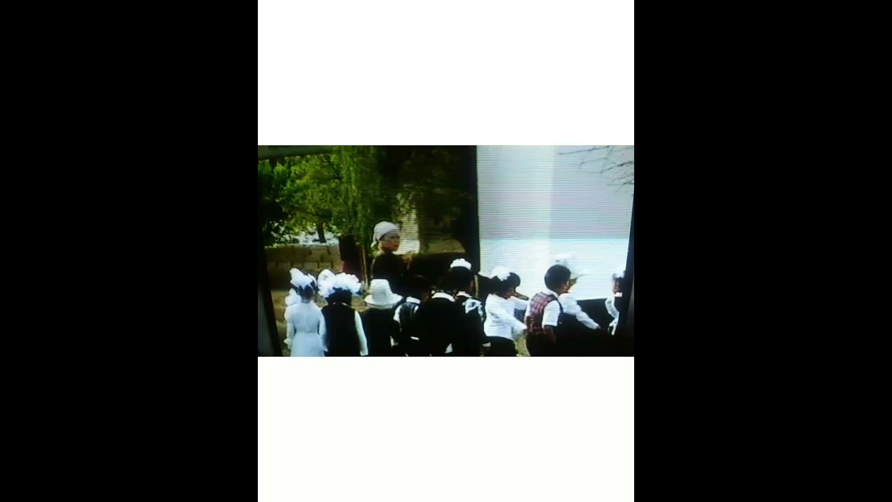 Орто боз 2003