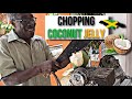 [Vlog 4]: CHOPPING COCONUT JELLY | GREAT VIBES IN JAMAICA