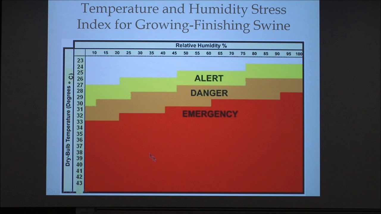 Heat Stress in Swine (2018)