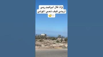 تلاوة مريحة و خاشعة #قرآن #اكسبلور #quran #المصحف #تلاوة_خاشعة