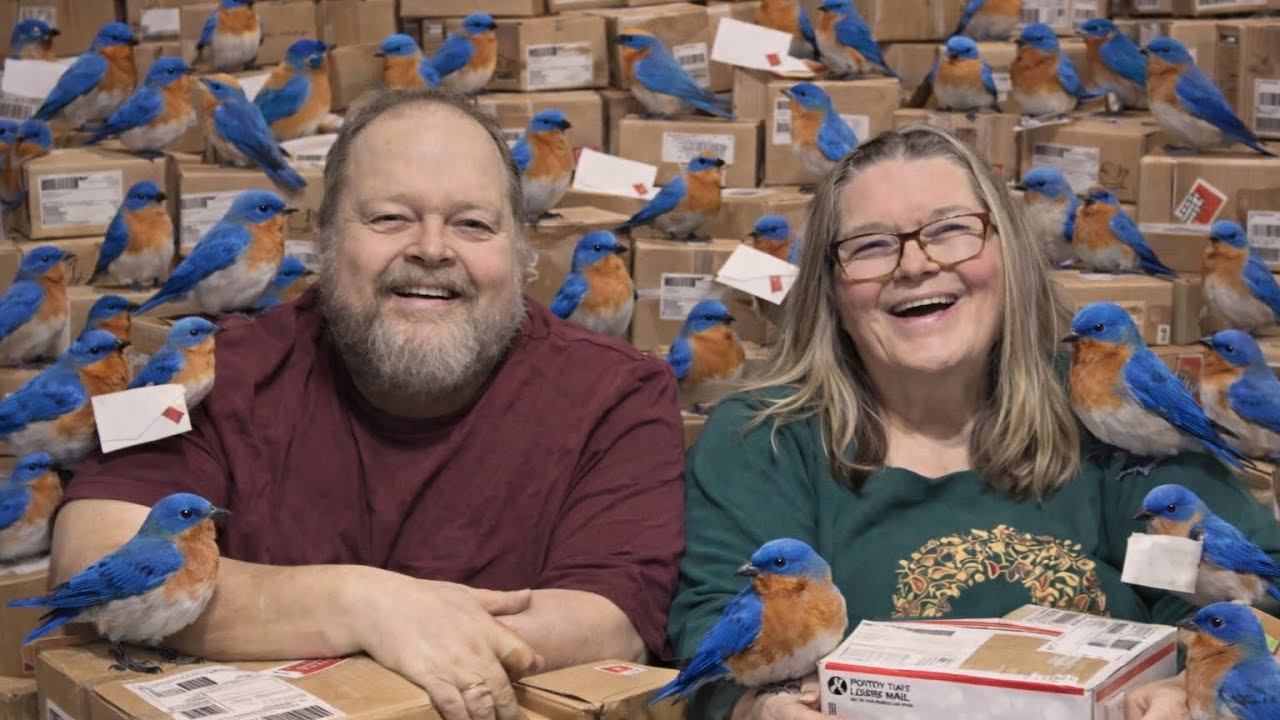 Загадочная коробка Bluebird из распродажи товаров со скидкой, часть 1.