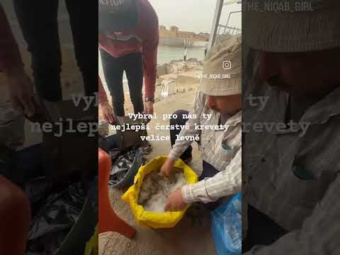Jak Nám Egyptský Rybář Prodával Krevety Egypt Theniqabgirl Shorts