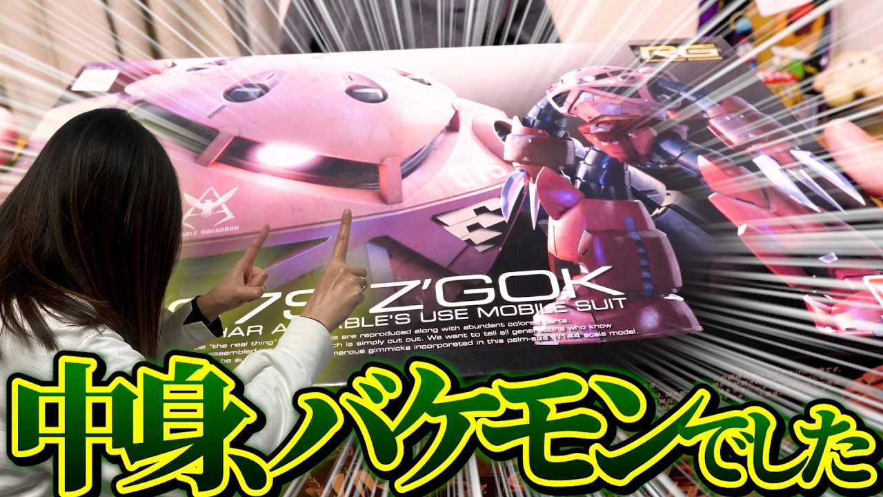 RG Z'Gok] Three times more amazing than I imagined!?This level