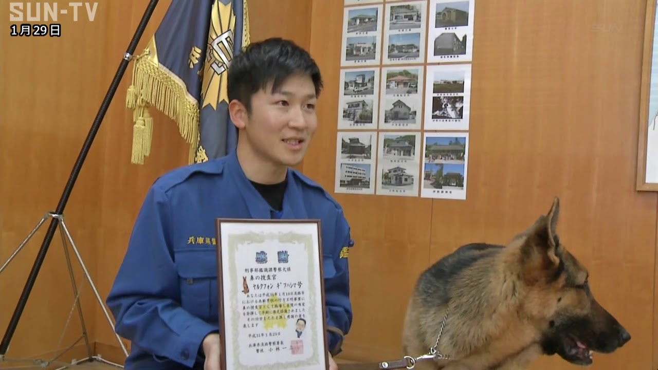 行方不明の高齢男性発見 兵庫県警の警察犬を表彰 Youtube