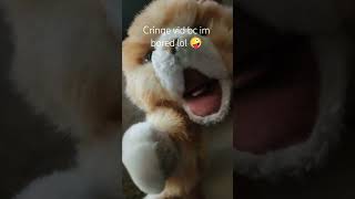 Did you cringe? btw NOT a essa #horror #linkinpark #metal #mario #gravenberch #doomstadt #skeyes