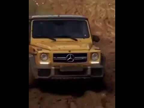 ნადირია ეს დედა მოტ****ი