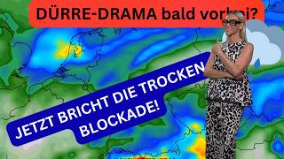 39 C Durre Waldbrand Endlich Regen - doch nun drohen Gewitterboen die Glutnester neu anzufachen