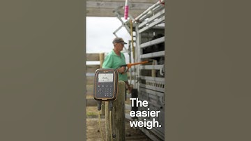 Gallagher W-1 weighscale