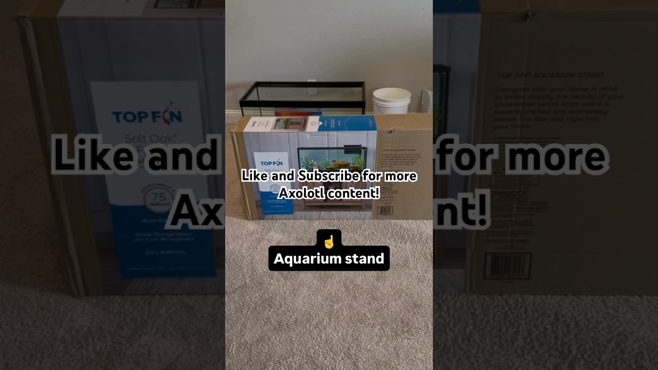 Everything you need to set up your axolotl tank 🐡💧 Beginner-friendly + easy checklist! ✅ 