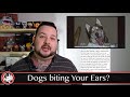 Horror Stories of Ear Stretching