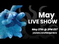 Tidal Gardens May 2023 Live Show