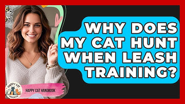 Why Does My Cat Hunt When Leash Training? - Happy Cat Handbook