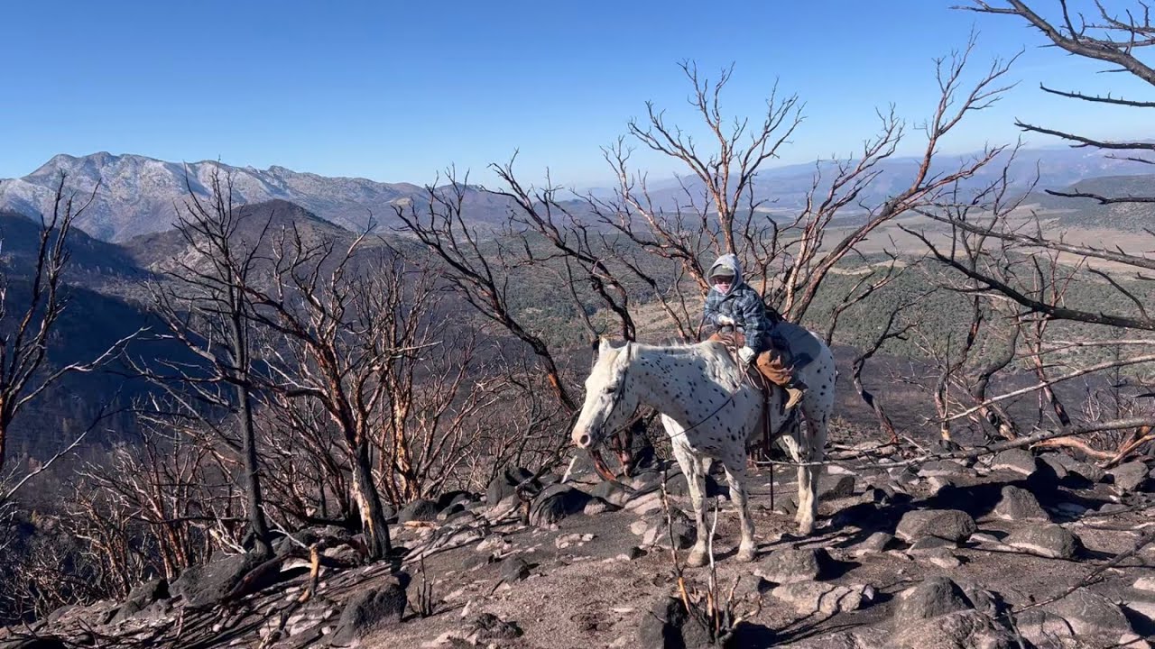  Our FAVORITE ride | Pine Valley MOUNTAIN 🏔️ 
