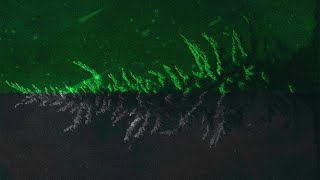 Strange Matter - 57 Degrees Lyric Video